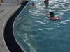 IMG_20250218_100424