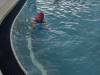 IMG_20250218_100532