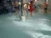 IMG-20240402-WA0002