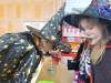 IMG_20260430_083206-Copy