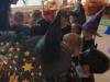 IMG_20260430_083443-Copy