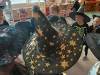 IMG_20260430_083445-Copy