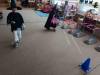 IMG_20260504_132837-Copy