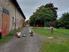 IMG20250922110626-Copy