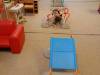 IMG20250923090004-Copy