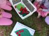 IMG-20240530-WA0000