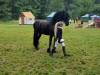 IMG-20260610-WA0028-Copy