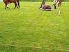 IMG_20240612_095029342