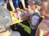 IMG_20260618_091515-Copy