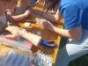 IMG_20260618_091933-Copy