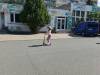 IMG_20260521_100247-Copy