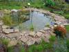 IMG20251006101923-Copy