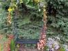 IMG20251006102130-Copy