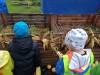 IMG20251006102148-Copy