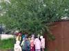 IMG20251006102450-Copy