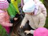IMG20251006102644-Copy