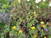 IMG20251006102750-Copy