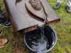 IMG20251006103350-Copy