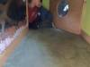 IMG_20251022_084924-Copy