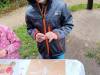 IMG_20251022_092403-Copy