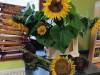 IMG_20251022_095151-Copy