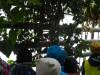 DSC03019