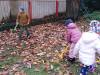 IMG_20231115_100540