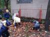 IMG_20231115_100550