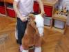 IMG-20251015-WA0005-Copy