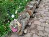 IMG20251015102618-Copy