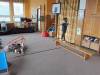 IMG_20260414_083257-Copy