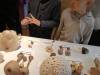 IMG20251017101420-Copy