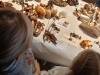 IMG20251017101614-Copy