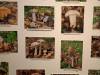 IMG20251017101811-Copy
