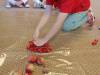 IMG20251013085145-Copy
