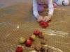 IMG20251013085234-Copy
