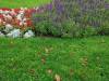 IMG20251015105914-Copy