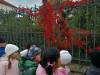 IMG20251015110328-Copy