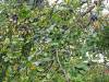 IMG20251015110348-Copy