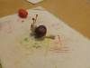 IMG20251017080614-Copy