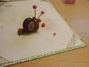 IMG20251017080622-Copy