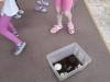 IMG-20260604-WA0000-Copy