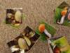 IMG20251006093221-Copy