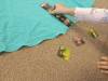 IMG20251010093007-Copy