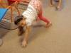 IMG_20251010_115054-Copy