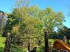 IMG20250930102353-Copy