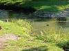IMG20250930105957-Copy