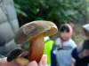 IMG20250930111100-Copy