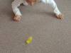 IMG20251001094824-Copy