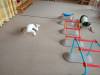 IMG20251001095011-Copy